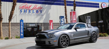 Shelby 1